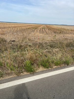 Teren agricol 15000 mp front la DJ 611 Fierbinți-Dâmbovița - imagine 5