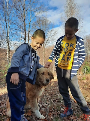 Vand teren Breaza Prahova