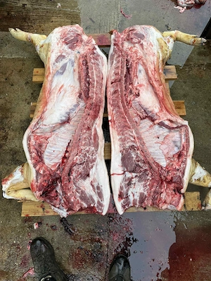 Carcasa porc Duroc  - imagine 2