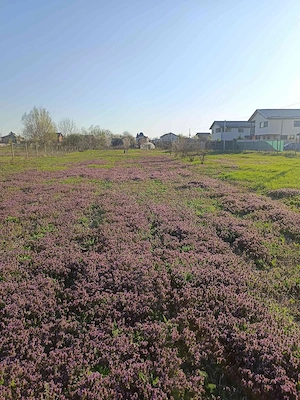 Teren intravilan parcelabil 6400mp si casa renovata - ideal investitii 