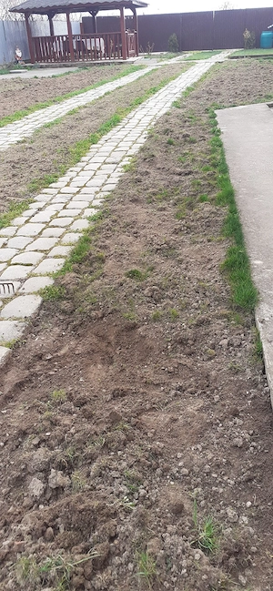 Amenajări exterioare si întreținere  - imagine 5