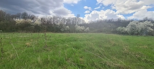 Teren  extravilan si intravilan de vanzare  total 12264 mp - imagine 5