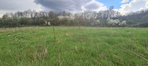 Teren  extravilan si intravilan de vanzare  total 12264 mp - imagine 4