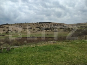 Casă specială 3 camere, 160 mp, teren 1000 mp, în Suceagu - imagine 13