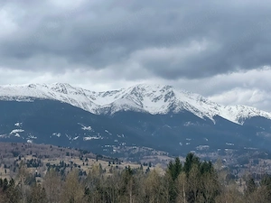 Teren intravilan Borșa MM - imagine 2