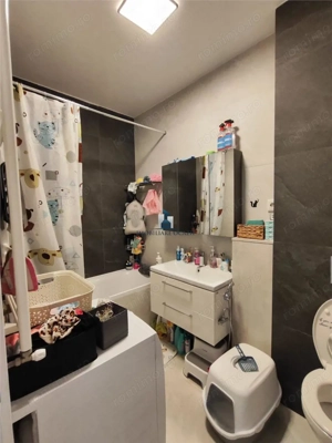 Apartament 4 camere Berceni - Odei Cavar - imagine 12
