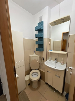 Câmpina - Apartament 3 camere-mobilat modern - 400 Euro luna - imagine 9