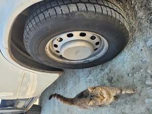 Vând dubă "ford tranzit" 3,2 t. 1998 . - imagine 4