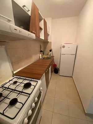Proprietar inchiriez apartament o camera zona Take Ionescu  - imagine 4