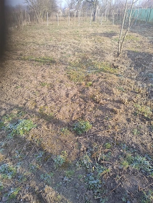 Casă de vânzare în Bivolari, jud. Iași   3 camere, teren 1152 mp - imagine 8