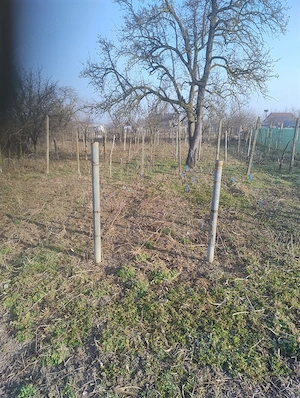 Casă de vânzare în Bivolari, jud. Iași   3 camere, teren 1152 mp - imagine 10