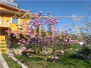 CASA DE FAMILIE in zona rezidentiala ultracentrala Onesti DE VANZARE