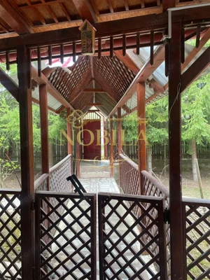 VILA  10 camere P + 1 si TEREN in ZONA HALOS - LOCUINTA BUSSINES IN MANASTIREA CASIN DE VANZARE IN E