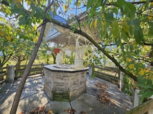 CASA SI TEREN DE VANZARE BORZESTI-Onesti