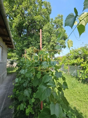 CASA DIN CARAMIDA INDEPENDENTA ENERGITIC 2000 MP TEREN  TARGU TROTUS