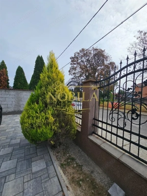 VILA DE VANZARE BACAU  P+E+M (de locuit si birou , clinica, notarriat, medic de familie etc) - imagine 6