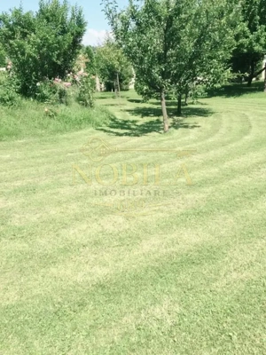 CLADIRI + 1 HA TEREN DE VANZARE PENTRU DEZVOLTARE BUSSINES - CAZARI, AGREMENT, AZIL, CAZINO IN ONEST - imagine 4