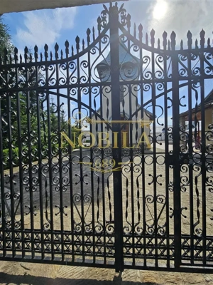 DOMENIU DE VANZARE  IN BORZESTI   ONESTI TABARA DE COPII,AZIL BATRANI,CENTRU DE SANATATE - imagine 4