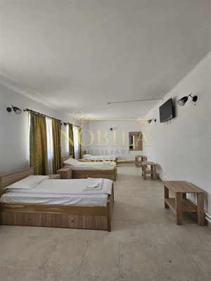 DOMENIU DE VANZARE  IN BORZESTI   ONESTI TABARA DE COPII,AZIL BATRANI,CENTRU DE SANATATE - imagine 10