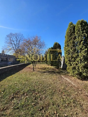 CLADIRI + 1 HA TEREN DE VANZARE PENTRU DEZVOLTARE BUSSINES - CAZARI, AGREMENT, AZIL, CAZINO IN ONEST - imagine 16