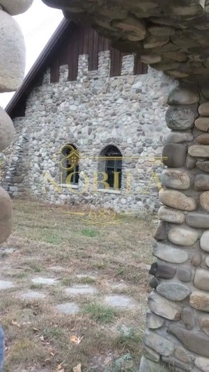 CLADIRI + 1 HA TEREN DE VANZARE PENTRU DEZVOLTARE BUSSINES - CAZARI, AGREMENT, AZIL, CAZINO IN ONEST - imagine 11