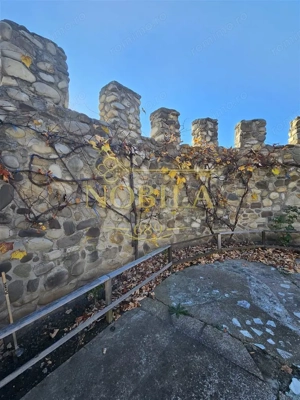 CLADIRI + 1 HA TEREN DE VANZARE PENTRU DEZVOLTARE BUSSINES - CAZARI, AGREMENT, AZIL, CAZINO IN ONEST - imagine 7