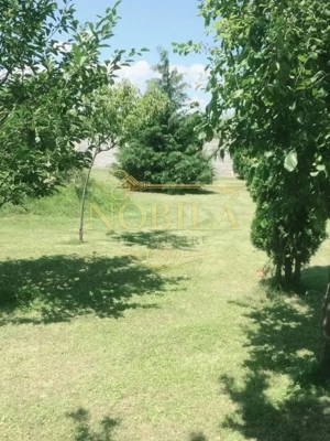 CLADIRI + 1 HA TEREN DE VANZARE PENTRU DEZVOLTARE BUSSINES - CAZARI, AGREMENT, AZIL, CAZINO IN ONEST - imagine 3