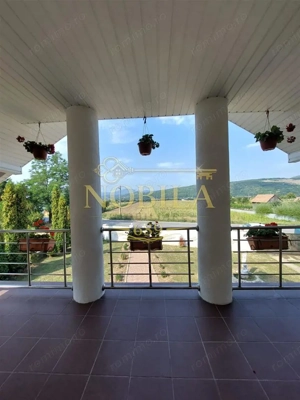 Vila de vanzare P+1 si  4200 mp teren in Com Livezi - imagine 11