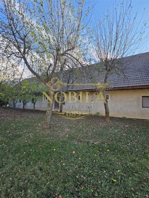 CLADIRI + 1 HA TEREN DE VANZARE PENTRU DEZVOLTARE BUSSINES - CAZARI, AGREMENT, AZIL, CAZINO IN ONEST - imagine 20