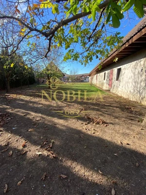 CLADIRI + 1 HA TEREN DE VANZARE PENTRU DEZVOLTARE BUSSINES - CAZARI, AGREMENT, AZIL, CAZINO IN ONEST - imagine 18