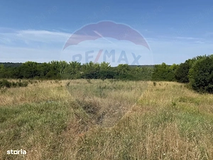 Vand 2.500 mp teren intravilan in Craiova - imagine 2
