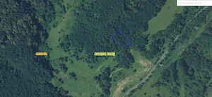 Vând teren arabil cu pădure de Salcâm - imagine 3