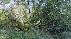 Vând teren arabil cu pădure de Salcâm - imagine 2