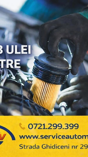 Service auto MaxRev - reparatii suspensii si articulatii - imagine 4