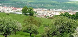 Teren intravilan  1000 mp  Lenin Sud-Jandarmerie