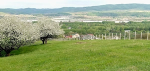 Teren intravilan  1000 mp  - zona exclusivista ! - imagine 4