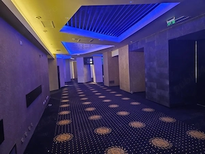 Inchiriez spartiu comercial ultracentral