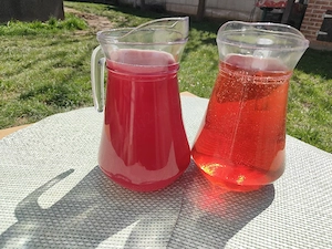 Produse din struguri vin și țuică naturala 