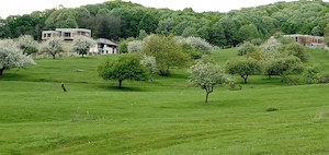 Teren intravilan  1000 mp  - zona exclusivista ! - imagine 6