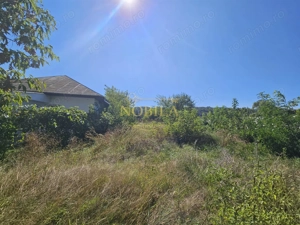 TEREN INTRAVILAN DE VANZARE ONESTI - imagine 4