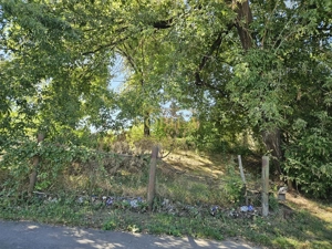 TEREN INTRAVILAN DE VANZARE ONESTI - imagine 7