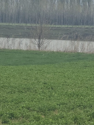 Teren cu deschidere la apă 