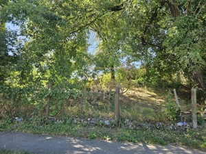 TEREN INTRAVILAN DE VANZARE ONESTI - imagine 5