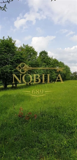 TEREN DE VANZARE 500O MP PUNCT CHETRIS CERDAC SLANIC MOLDOVA