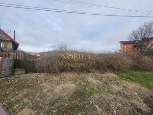 TEREN INTRAVILAN 10.700 mp  DE VANZARE  IN TG.OCNA - imagine 3