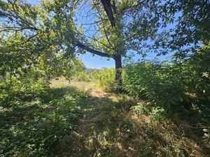 TEREN INTRAVILAN DE VANZARE ONESTI - imagine 6