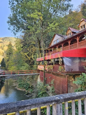 PENSIUNE 2 MARGARETE  DE VANZARE in STATIUNEA MONTANA SLANIC MOLDOVA - imagine 2