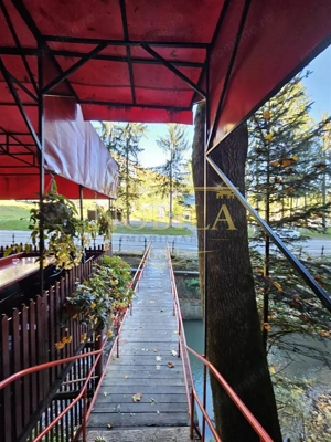 PENSIUNE 2 MARGARETE  DE VANZARE in STATIUNEA MONTANA SLANIC MOLDOVA - imagine 3