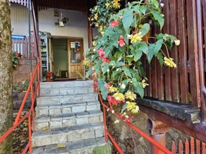 PENSIUNE 2 MARGARETE  DE VANZARE in STATIUNEA MONTANA SLANIC MOLDOVA - imagine 4