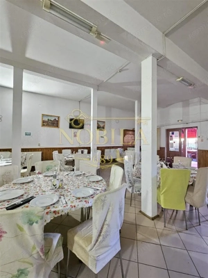 PENSIUNE 2 MARGARETE  DE VANZARE in STATIUNEA MONTANA SLANIC MOLDOVA - imagine 11